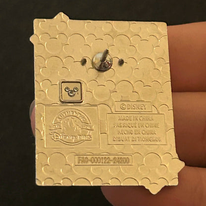 2024 - Stitch - Taking Picture in the Grass - Taped Photo - Mystery Pin
