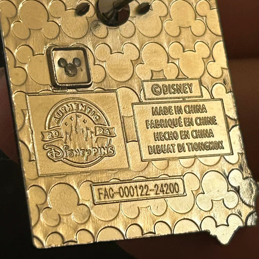 2024 - Stitch - Taking Picture in the Grass - Taped Photo - Mystery Pin