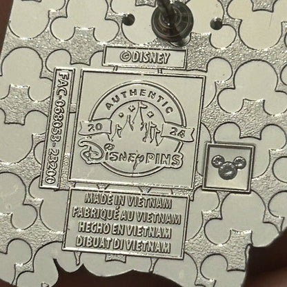 2024 - Chip and Dale - Ticket - Play In The Park - Pin