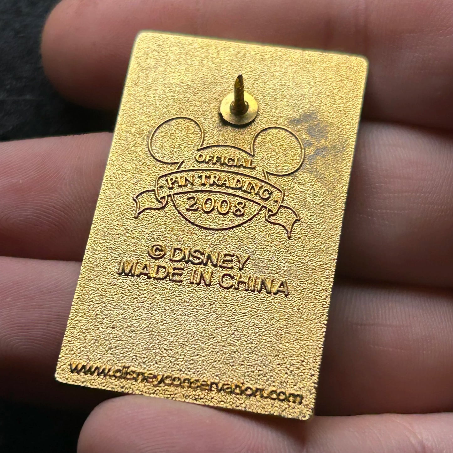2008 - Disney Worldwide Conservation Fund - Disney Pin