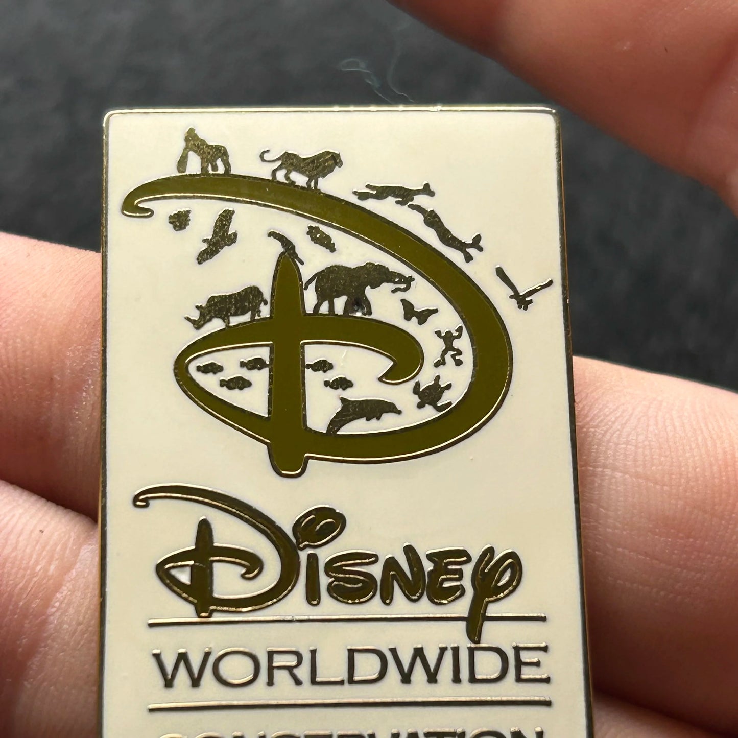 2008 - Disney Worldwide Conservation Fund - Disney Pin